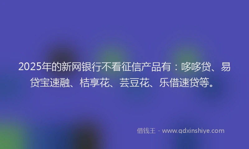 2025年的新网银行不看征信产品有：哆哆贷、易贷宝速融、桔享花、芸豆花、乐借速贷等。