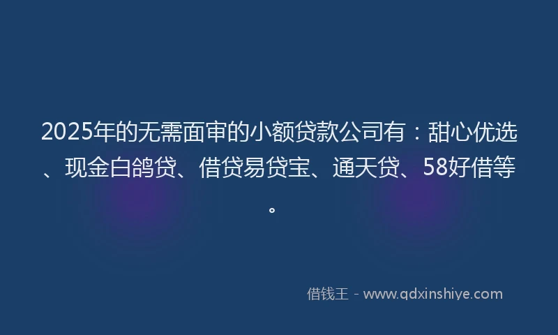 2025年的无需面审的小额贷款公司有：甜心优选、现金白鸽贷、借贷易贷宝、通天贷、58好借等。