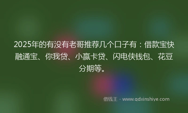 2025年的有没有老哥推荐几个口子有：借款宝快融通宝、你我贷、小赢卡贷、闪电侠钱包、花豆分期等。