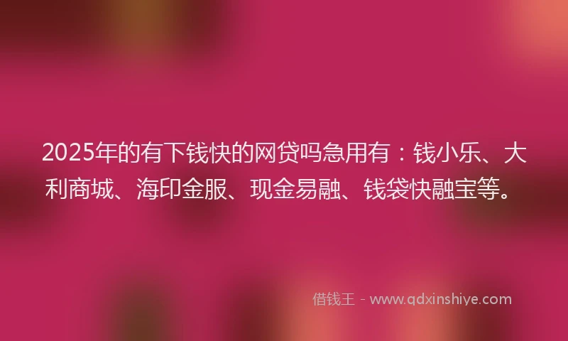 2025年的有下钱快的网贷吗急用有：钱小乐、大利商城、海印金服、现金易融、钱袋快融宝等。