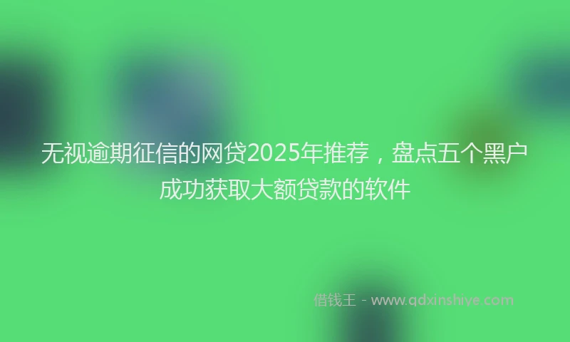 无视逾期征信的网贷2025年推荐，盘点五个黑户成功获取大额贷款的软件