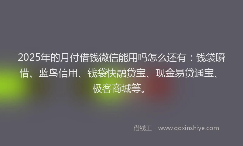 2025年的月付借钱微信能用吗怎么还有：钱袋瞬借、蓝鸟信用、钱袋快融贷宝、现金易贷通宝、极客商城等。