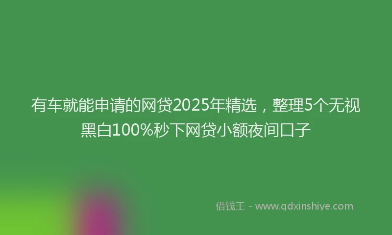 有车就能申请的网贷2025年精选，整理5个无视黑白100%秒下网贷小额夜间口子