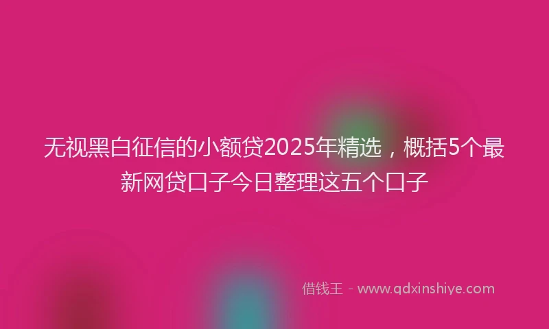 无视黑白征信的小额贷2025年精选，概括5个最新网贷口子今日整理这五个口子