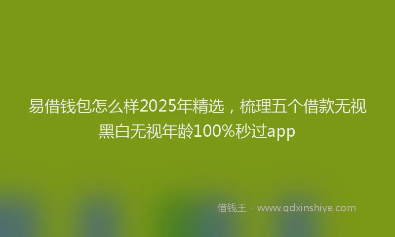 易借钱包怎么样2025年精选，梳理五个借款无视黑白无视年龄100%秒过app