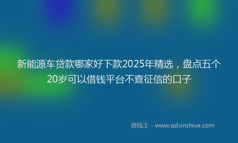 新能源车贷款哪家好下款2025年精选，盘点五个20岁可以借钱平台不查征信的口子