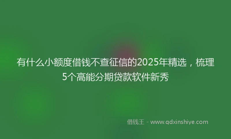 有什么小额度借钱不查征信的2025年精选，梳理5个高能分期贷款软件新秀