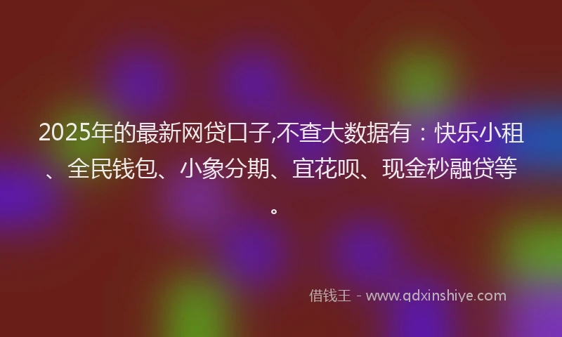 2025年的最新网贷口子,不查大数据有：快乐小租、全民钱包、小象分期、宜花呗、现金秒融贷等。
