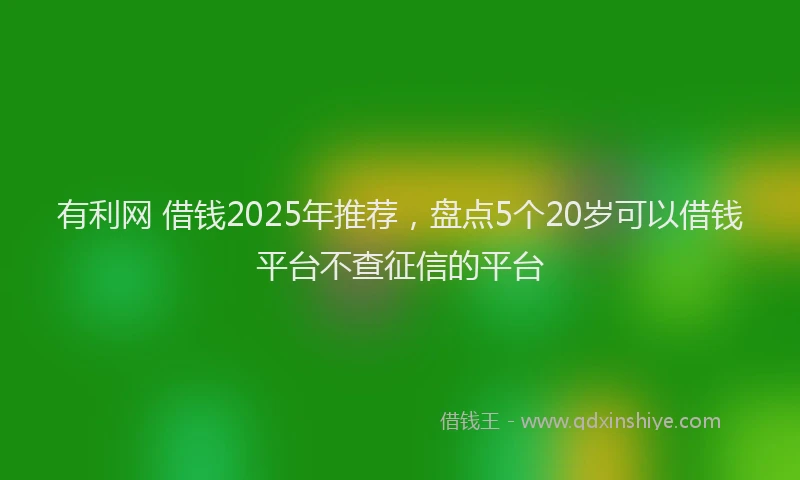 有利网 借钱2025年推荐，盘点5个20岁可以借钱平台不查征信的平台