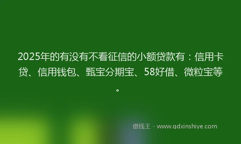 2025年的有没有不看征信的小额贷款有：信用卡贷、信用钱包、甄宝分期宝、58好借、微粒宝等。