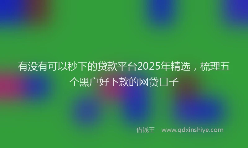 有没有可以秒下的贷款平台2025年精选，梳理五个黑户好下款的网贷口子