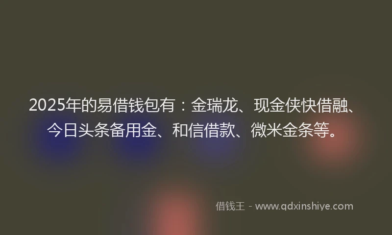 2025年的易借钱包有：金瑞龙、现金侠快借融、今日头条备用金、和信借款、微米金条等。