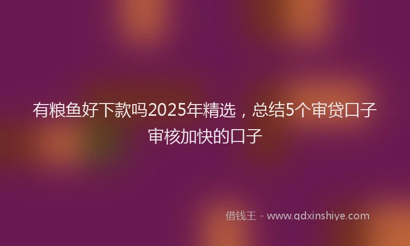 有粮鱼好下款吗2025年精选，总结5个审贷口子审核加快的口子