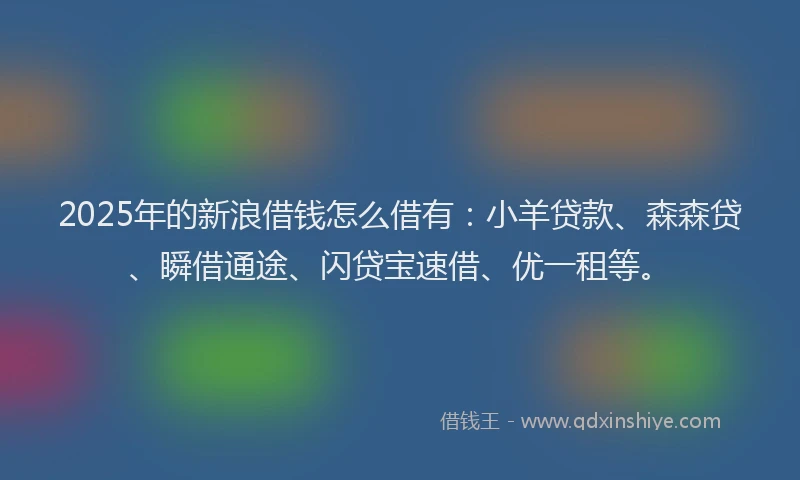 2025年的新浪借钱怎么借有：小羊贷款、森森贷、瞬借通途、闪贷宝速借、优一租等。
