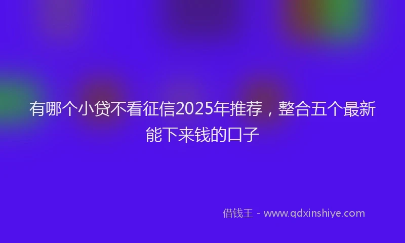 有哪个小贷不看征信2025年推荐，整合五个最新能下来钱的口子