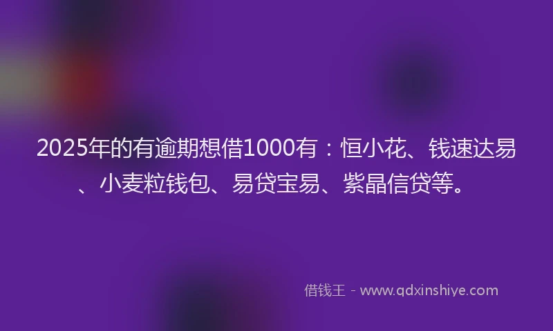 2025年的有逾期想借1000有：恒小花、钱速达易、小麦粒钱包、易贷宝易、紫晶信贷等。