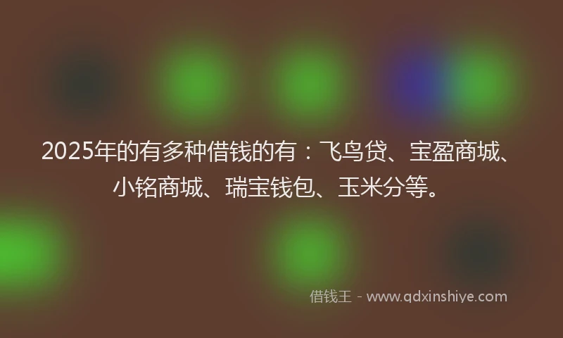 2025年的有多种借钱的有：飞鸟贷、宝盈商城、小铭商城、瑞宝钱包、玉米分等。