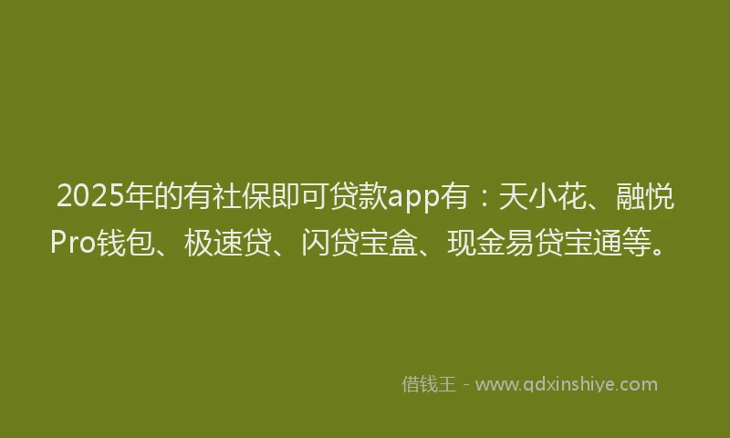2025年的有社保即可贷款app有：天小花、融悦Pro钱包、极速贷、闪贷宝盒、现金易贷宝通等。