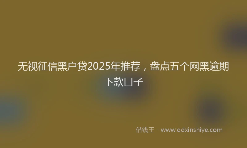 无视征信黑户贷2025年推荐，盘点五个网黑逾期下款口子
