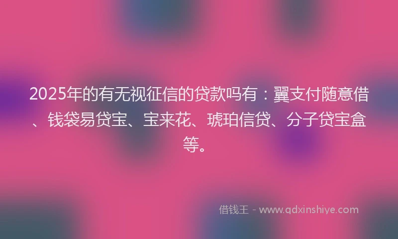 2025年的有无视征信的贷款吗有：翼支付随意借、钱袋易贷宝、宝来花、琥珀信贷、分子贷宝盒等。