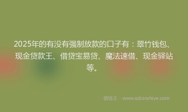 2025年的有没有强制放款的口子有：翠竹钱包、现金贷款王、借贷宝易贷、魔法速借、现金驿站等。
