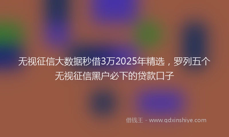 无视征信大数据秒借3万2025年精选，罗列五个无视征信黑户必下的贷款口子