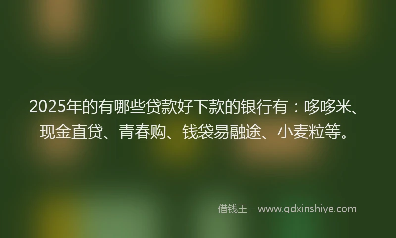 2025年的有哪些贷款好下款的银行有：哆哆米、现金直贷、青春购、钱袋易融途、小麦粒等。
