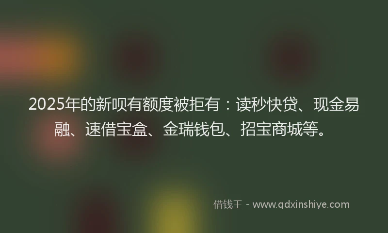 2025年的新呗有额度被拒有：读秒快贷、现金易融、速借宝盒、金瑞钱包、招宝商城等。