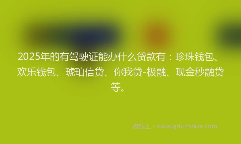2025年的有驾驶证能办什么贷款有：珍珠钱包、欢乐钱包、琥珀信贷、你我贷-极融、现金秒融贷等。