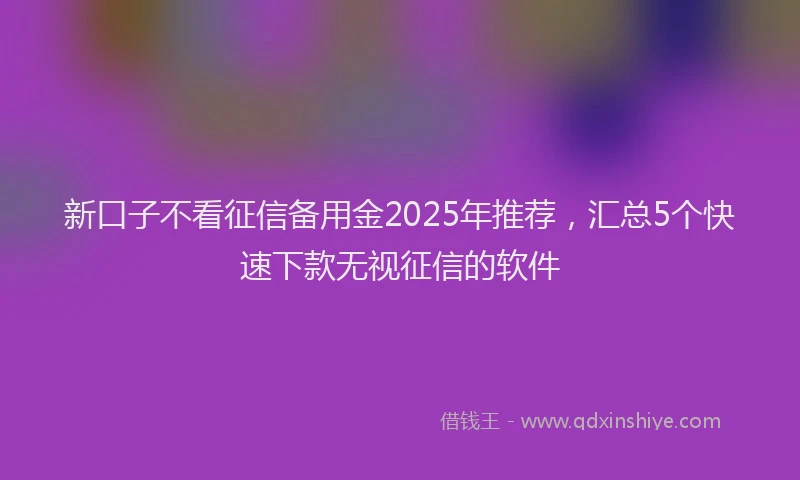 新口子不看征信备用金2025年推荐，汇总5个快速下款无视征信的软件
