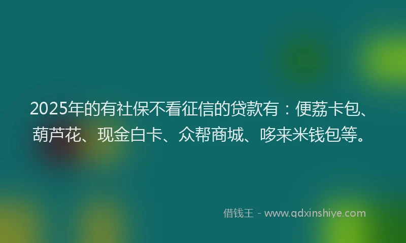 2025年的有社保不看征信的贷款有：便荔卡包、葫芦花、现金白卡、众帮商城、哆来米钱包等。