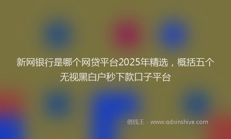 新网银行是哪个网贷平台2025年精选，概括五个无视黑白户秒下款口子平台