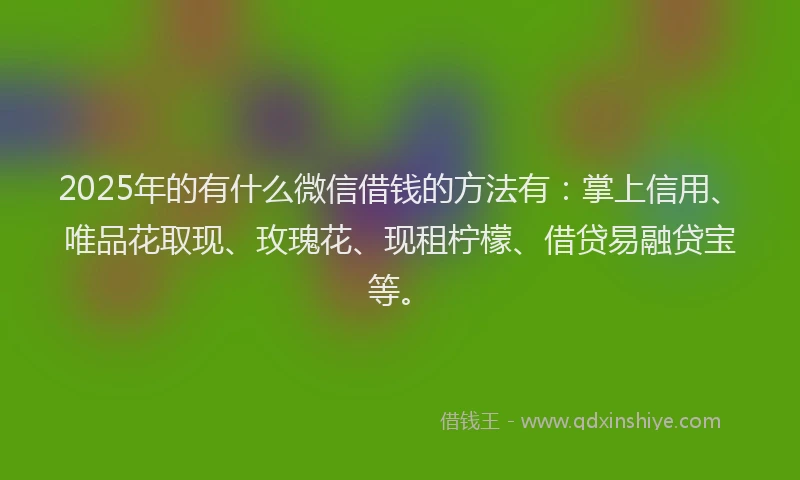 2025年的有什么微信借钱的方法有：掌上信用、唯品花取现、玫瑰花、现租柠檬、借贷易融贷宝等。