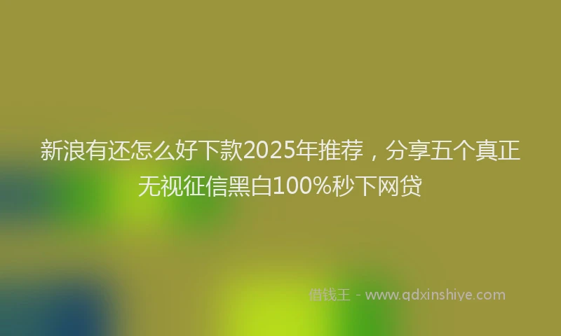新浪有还怎么好下款2025年推荐，分享五个真正无视征信黑白100%秒下网贷