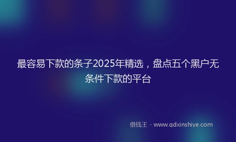 最容易下款的条子2025年精选，盘点五个黑户无条件下款的平台