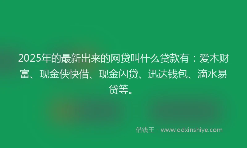 2025年的最新出来的网贷叫什么贷款有：爱木财富、现金侠快借、现金闪贷、迅达钱包、滴水易贷等。