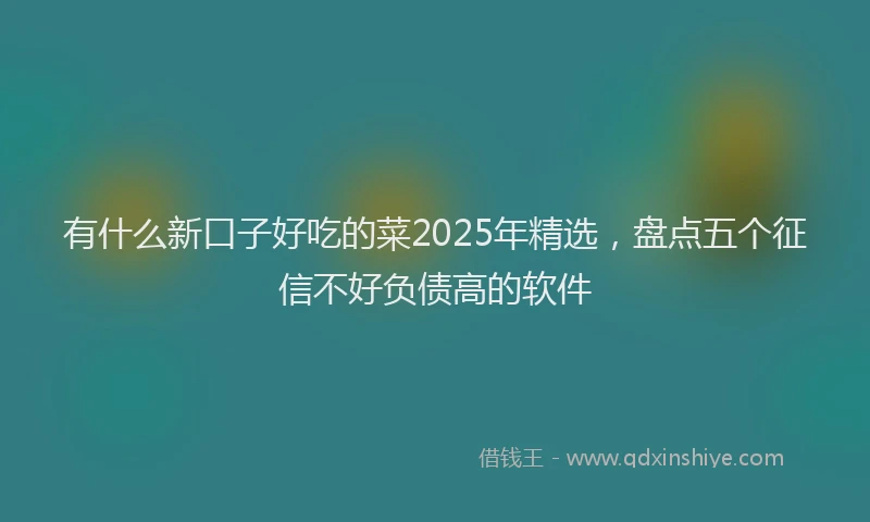 有什么新口子好吃的菜2025年精选，盘点五个征信不好负债高的软件