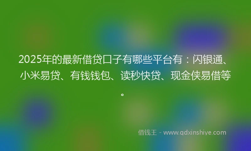 2025年的最新借贷口子有哪些平台有：闪银通、小米易贷、有钱钱包、读秒快贷、现金侠易借等。
