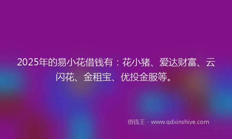 2025年的易小花借钱有：花小猪、爱达财富、云闪花、金租宝、优投金服等。