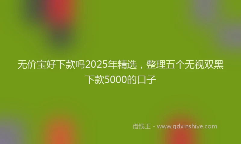 无价宝好下款吗2025年精选，整理五个无视双黑下款5000的口子