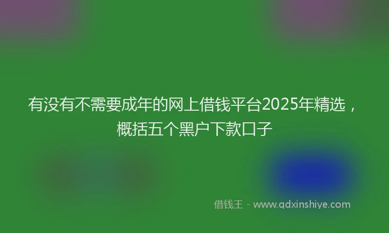 有没有不需要成年的网上借钱平台2025年精选，概括五个黑户下款口子