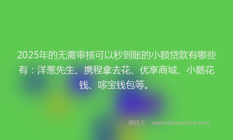 2025年的无需审核可以秒到账的小额贷款有哪些有：洋葱先生、携程拿去花、优享商城、小鹅花钱、哆宝钱包等。