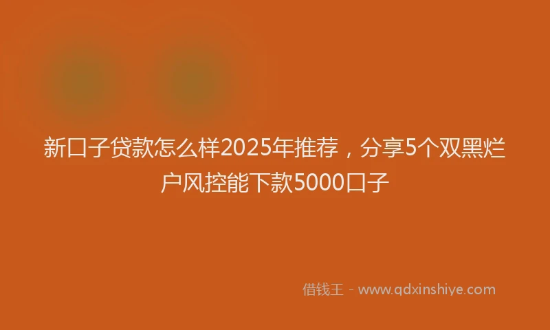 新口子贷款怎么样2025年推荐，分享5个双黑烂户风控能下款5000口子