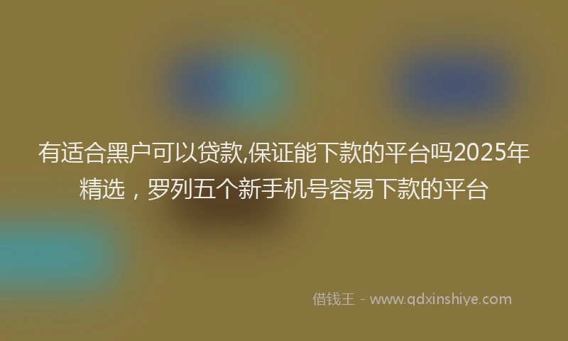 有适合黑户可以贷款,保证能下款的平台吗2025年精选，罗列五个新手机号容易下款的平台