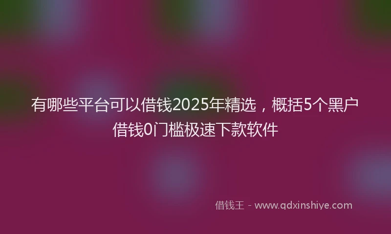 有哪些平台可以借钱2025年精选，概括5个黑户借钱0门槛极速下款软件