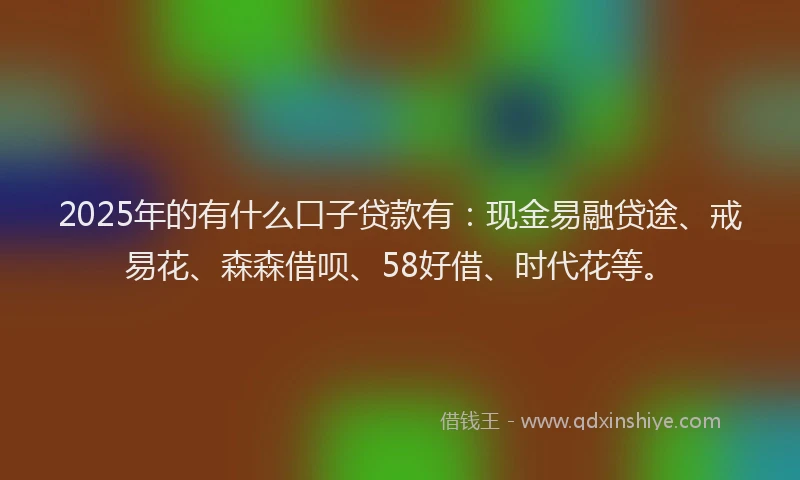 2025年的有什么口子贷款有：现金易融贷途、戒易花、森森借呗、58好借、时代花等。