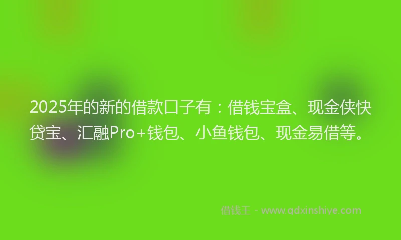 2025年的新的借款口子有：借钱宝盒、现金侠快贷宝、汇融Pro+钱包、小鱼钱包、现金易借等。