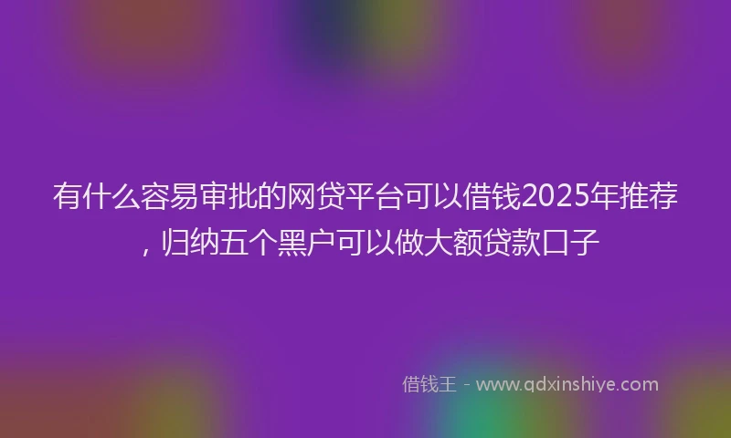 有什么容易审批的网贷平台可以借钱2025年推荐，归纳五个黑户可以做大额贷款口子