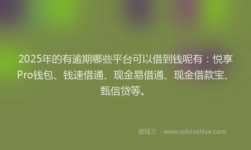 2025年的有逾期哪些平台可以借到钱呢有：悦享Pro钱包、钱速借通、现金易借通、现金借款宝、甄信贷等。