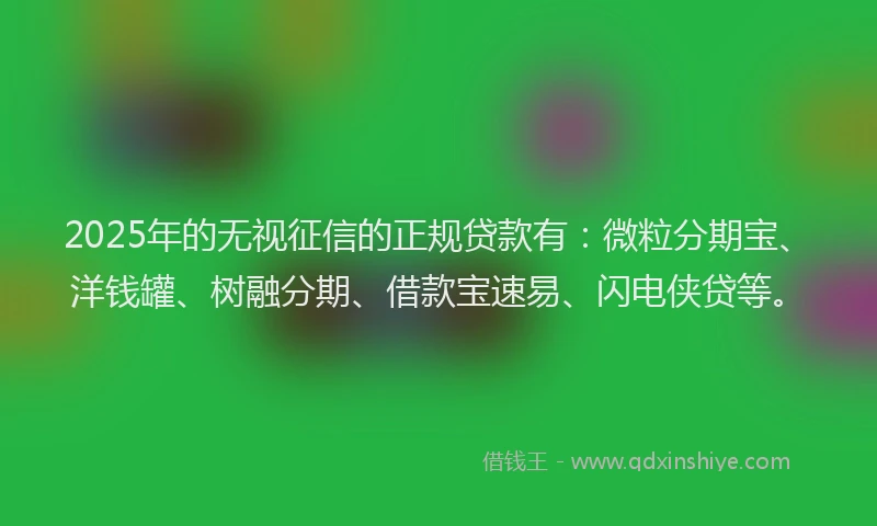 2025年的无视征信的正规贷款有：微粒分期宝、洋钱罐、树融分期、借款宝速易、闪电侠贷等。